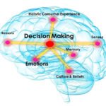 The-Neuroscience-of-Decision-Making
