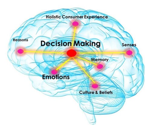 The-Neuroscience-of-Decision-Making The-Neuroscience-of-Decision-Making