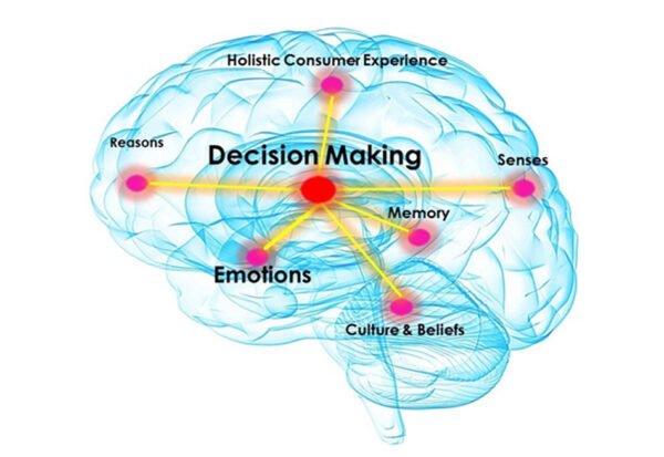 The-Neuroscience-of-Decision-Making The-Neuroscience-of-Decision-Making